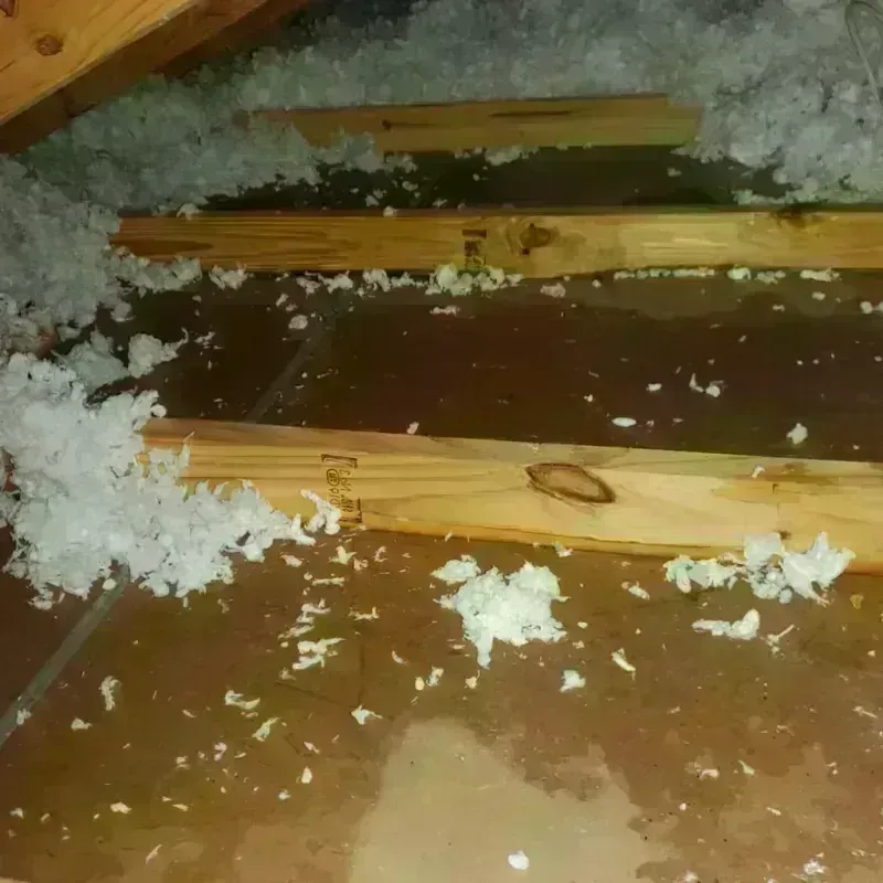 Attic Water Damage in Pleasant Run Farm, OH